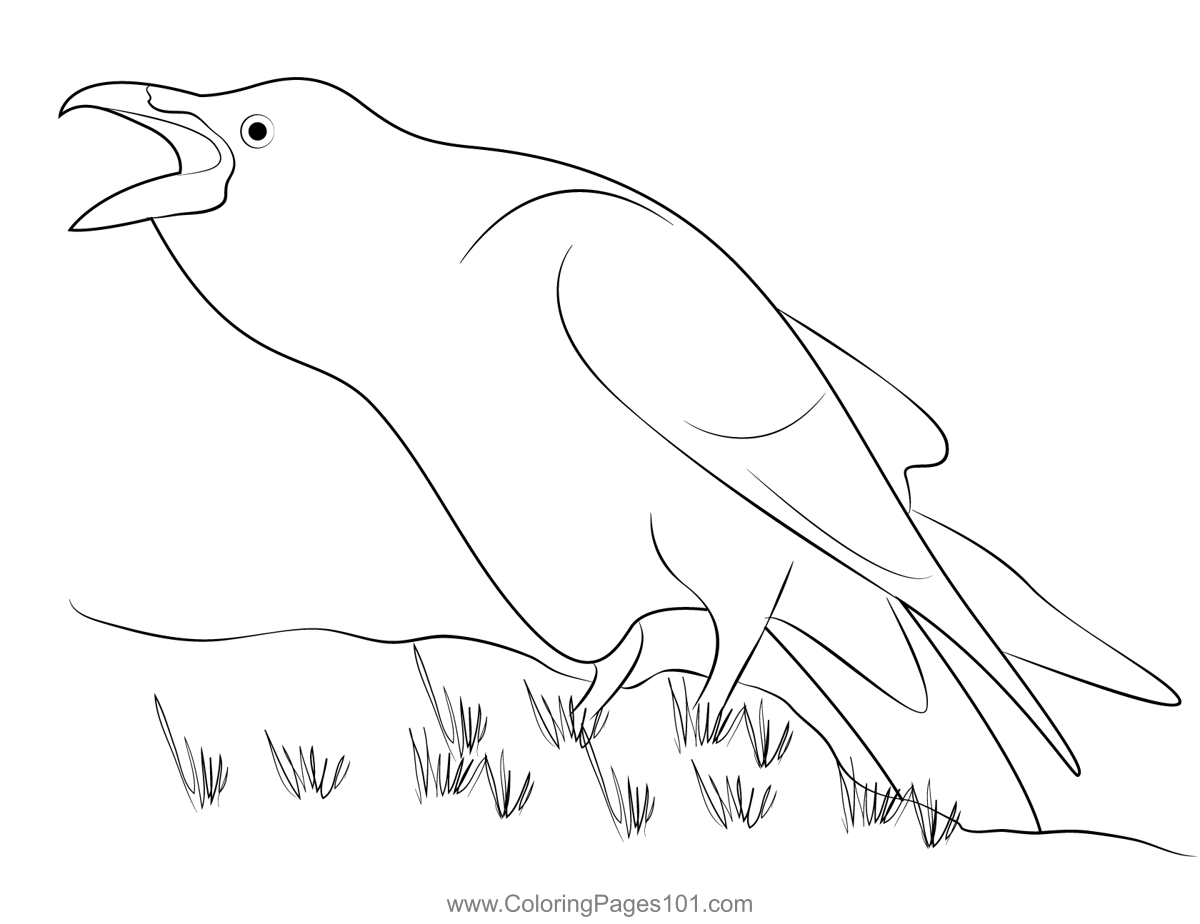 Raven Bird 1 Coloring Page for Kids - Free Crows Printable Coloring ...