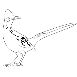 Cuckoos Coloring Pages for Kids Printable Free Download ...