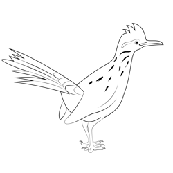 Roadrunner Greater Coloring Pages for Kids - Download Roadrunner ...