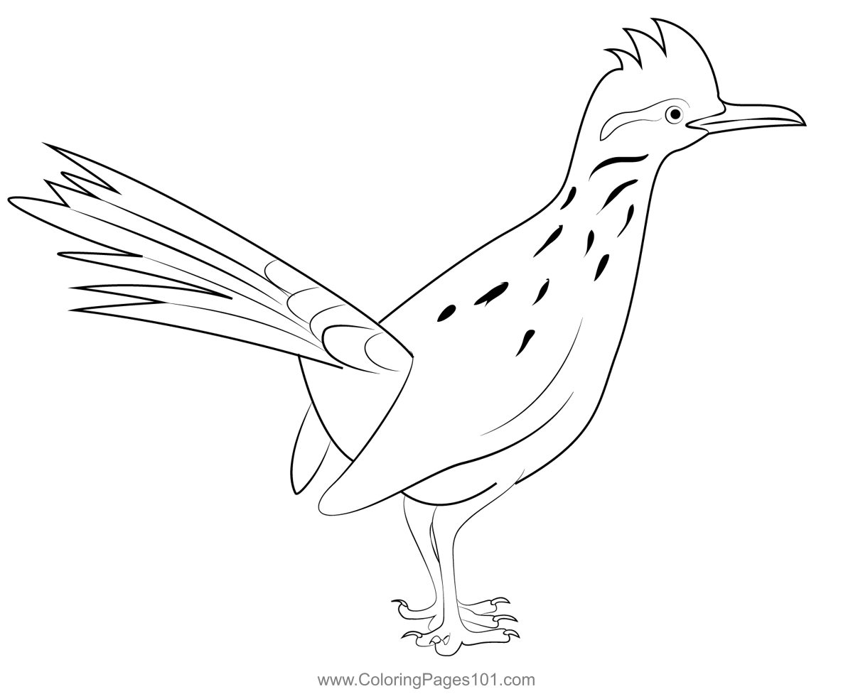 roadrunner-greater-coloring-page-for-kids-free-cuckoos-printable