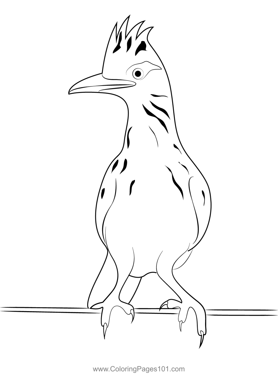 Roadrunner On Fence Coloring Page for Kids - Free Cuckoos Printable ...