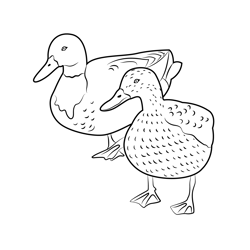 Ducks Coloring Pages for Kids Printable Free Download ...