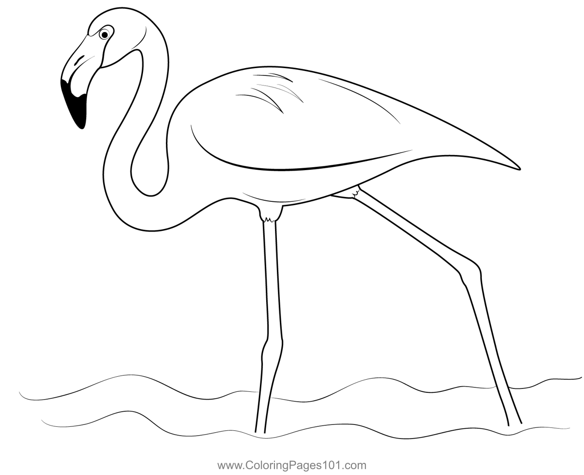 American Flamingo Bird Coloring Page for Kids - Free Flamingos ...