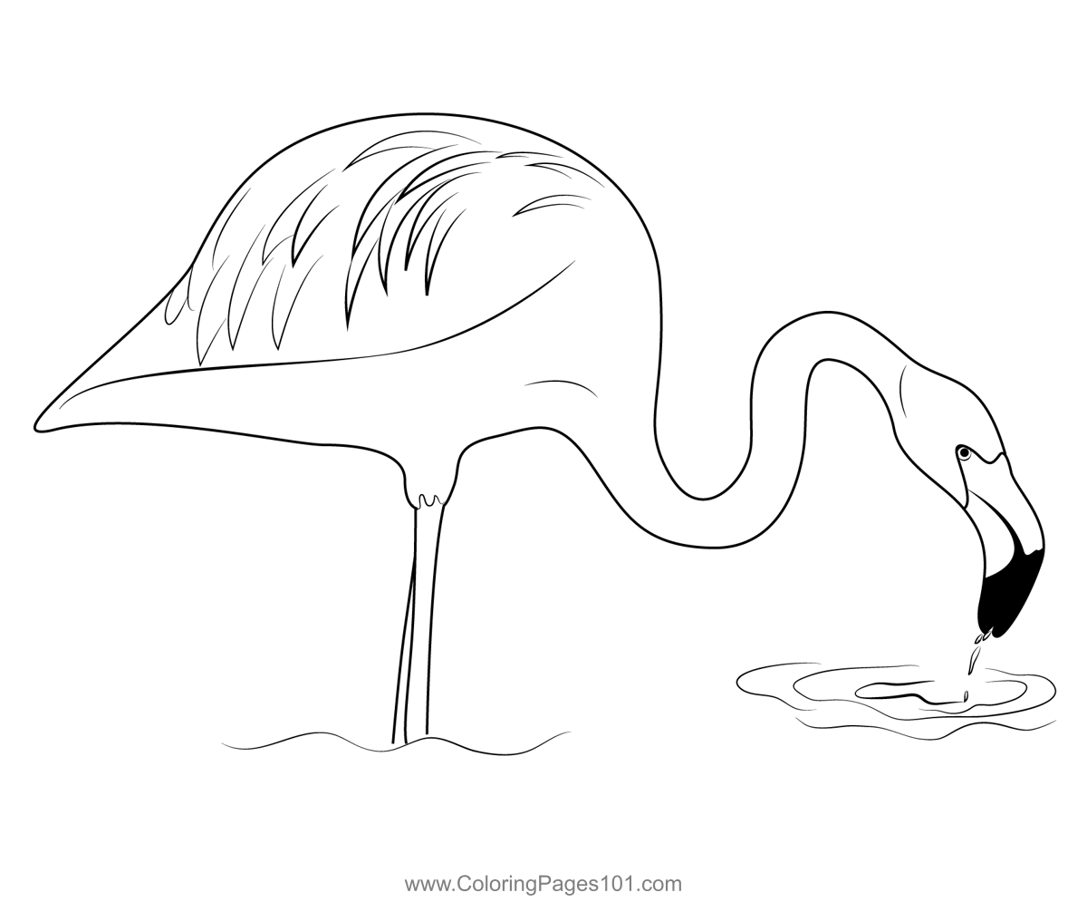 Beautiful Flamingo Bird Coloring Page for Kids - Free Flamingos ...