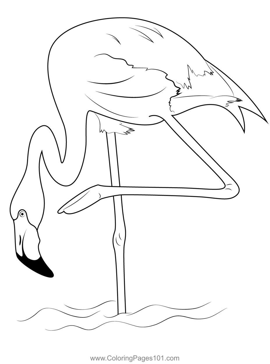 Flamingo 4 Coloring Page for Kids - Free Flamingos Printable Coloring ...