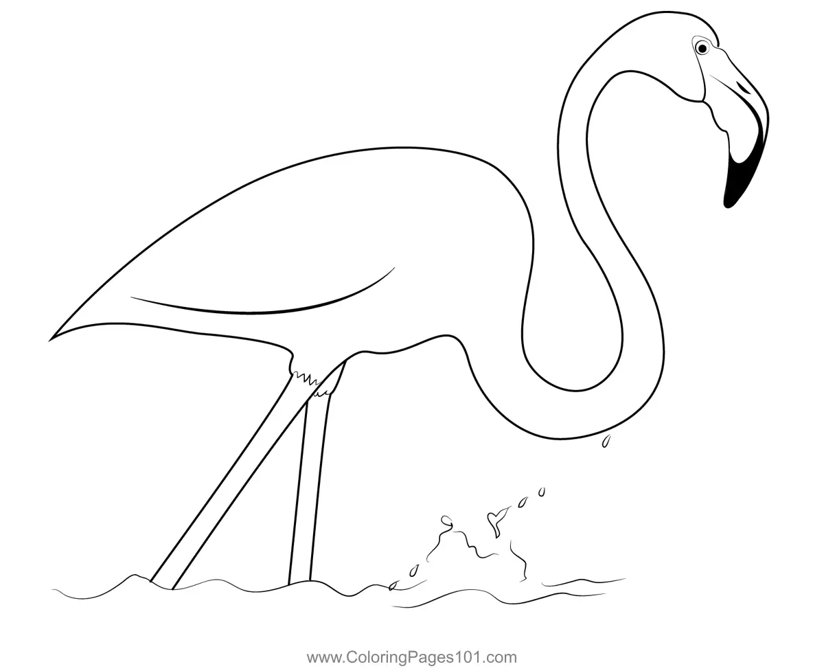 Flamingo Bird 2 Coloring Page for Kids - Free Flamingos Printable ...