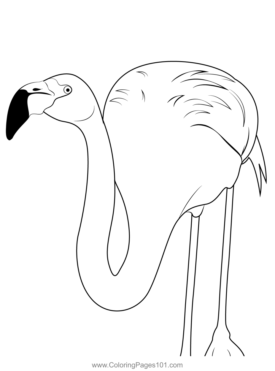 Flamingo Bird 4 Coloring Page for Kids - Free Flamingos Printable ...