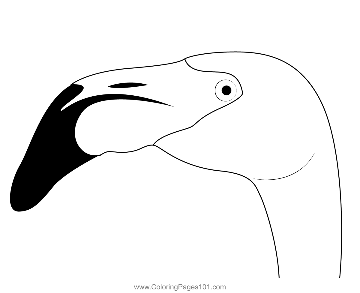 Flamingo Bird Face Coloring Page For Kids - Free Flamingos Printable 