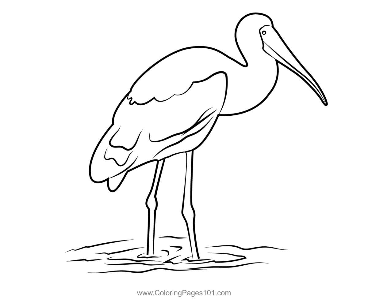 Flamingo In Water Coloring Page for Kids - Free Flamingos Printable ...