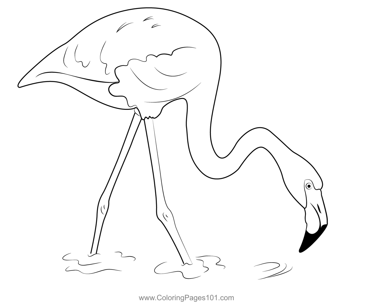 Flamingo Lovely Bird Coloring Page for Kids - Free Flamingos Printable ...