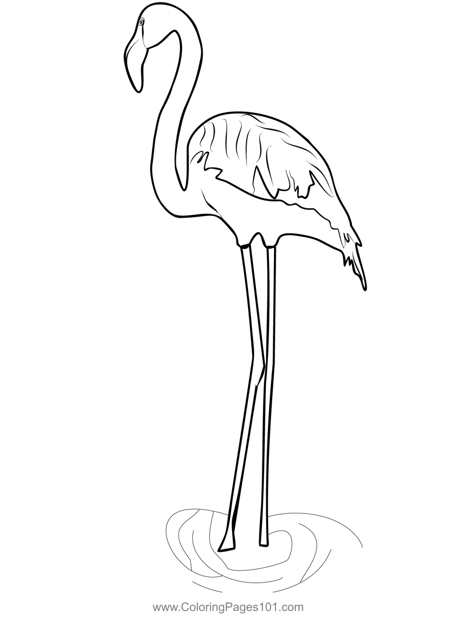 Flamingos 1 Coloring Page for Kids - Free Flamingos Printable Coloring ...
