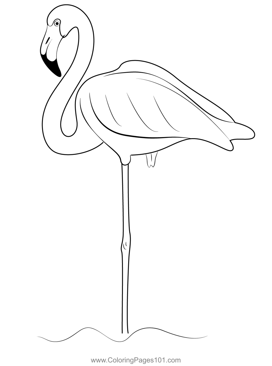 Flamingos Stand On One Leg In Water Coloring Page for Kids - Free ...