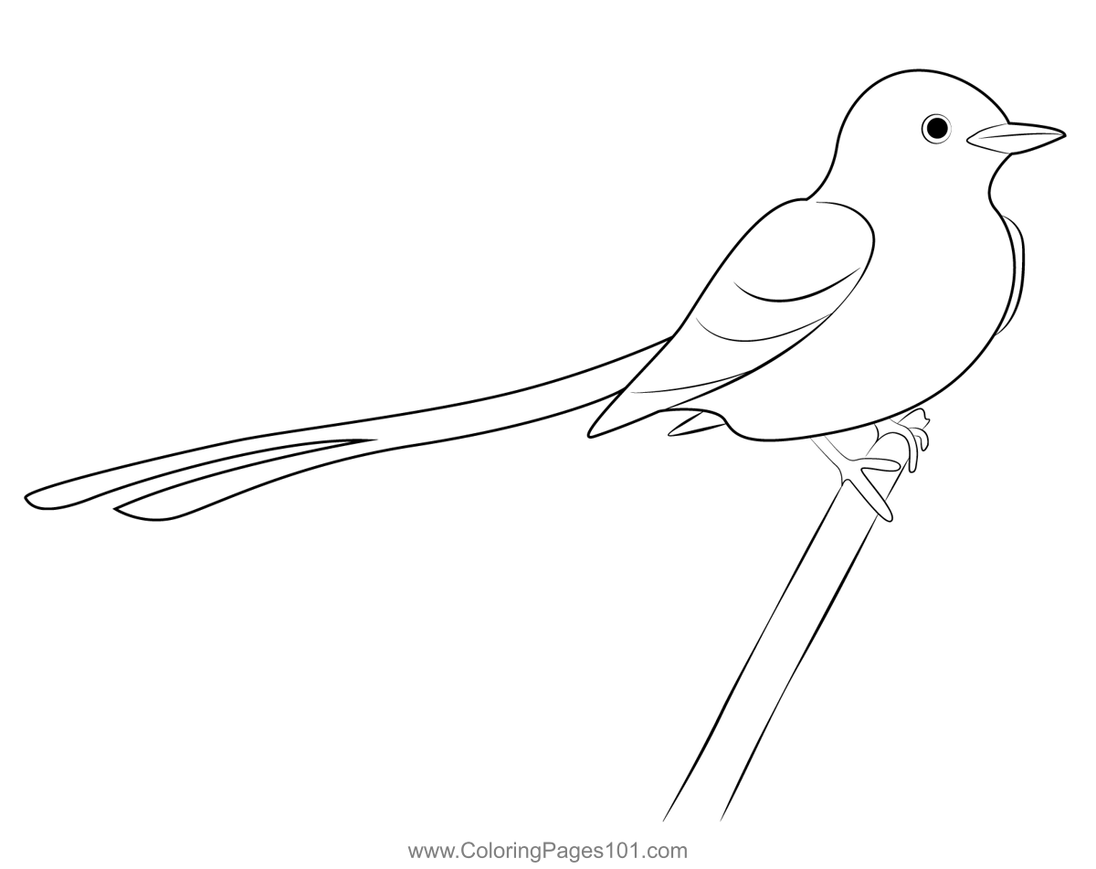 Scissor Tailed Flycatcher 11 Coloring Page for Kids - Free Flycatchers ...
