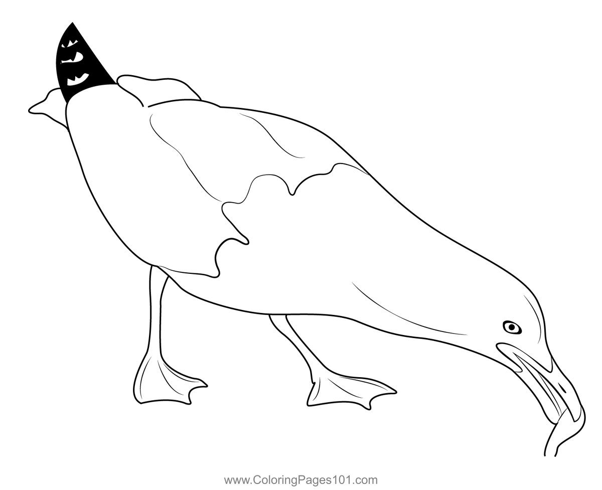 Seagull Birds Coloring Page for Kids - Free Gulls Printable Coloring ...