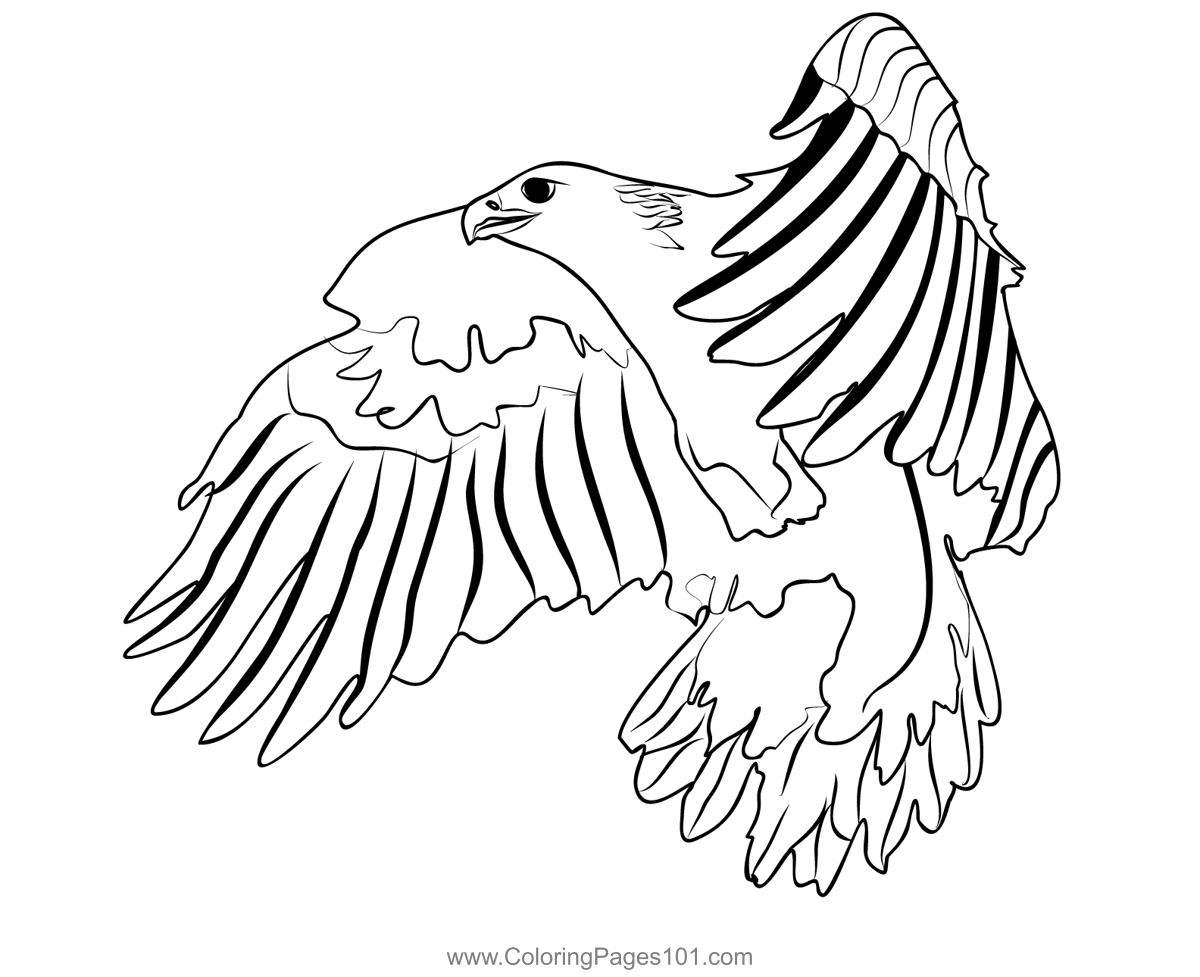 Golden Eagle 2 Coloring Page for Kids - Free Hawks and Eagles Printable ...