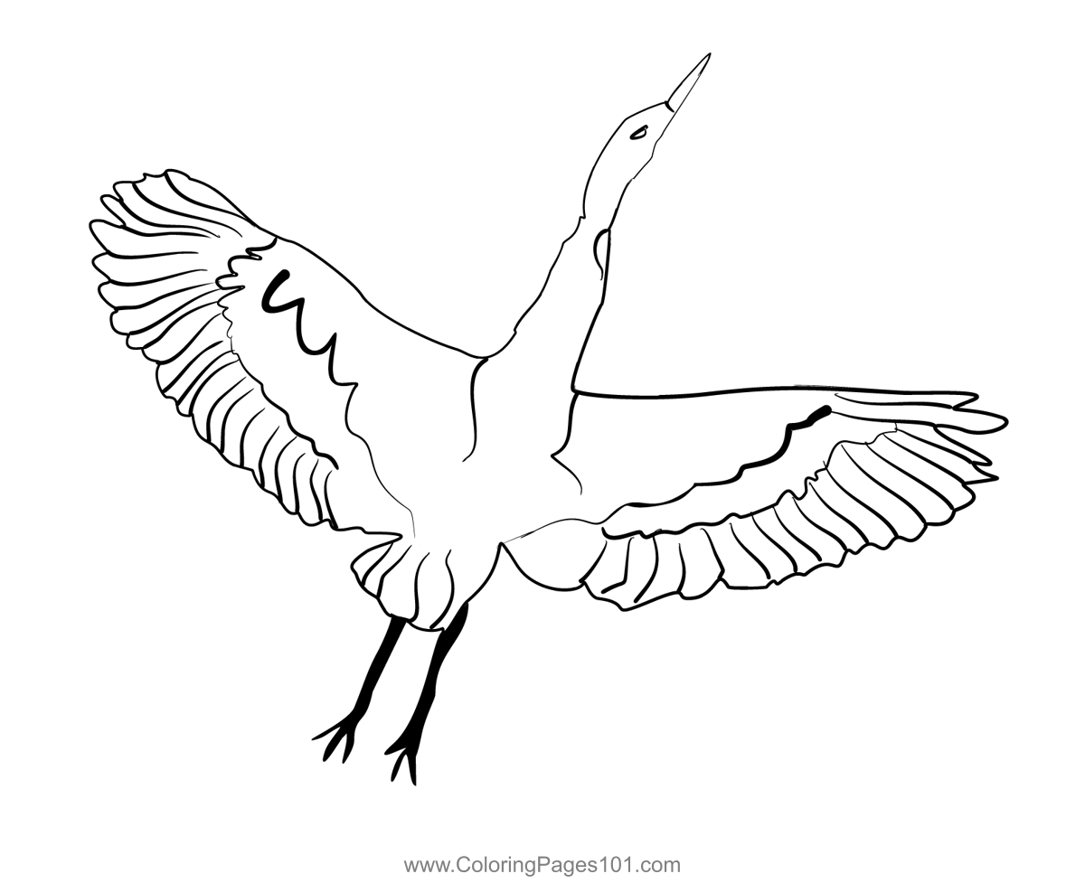 Bittern 4 Coloring Page for Kids - Free Herons Printable Coloring Pages ...