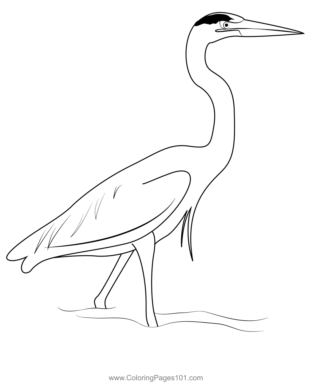 great blue heron outline