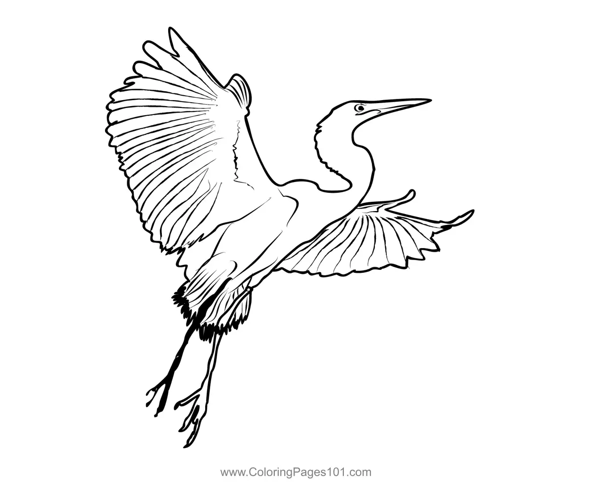 Great White Egret 3 Coloring Page for Kids - Free Herons Printable ...
