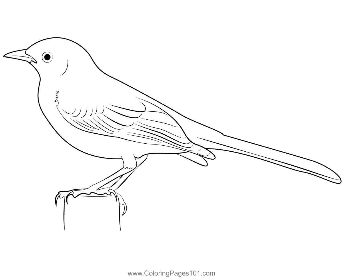 Mockingbird 1 Coloring Page for Kids - Free Mockingbirds Printable ...