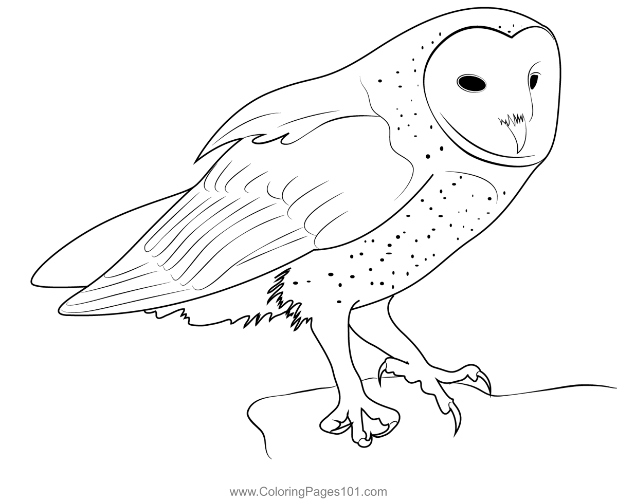 Owl Coloring Page for Kids - Free Owls Printable Coloring Pages Online ...