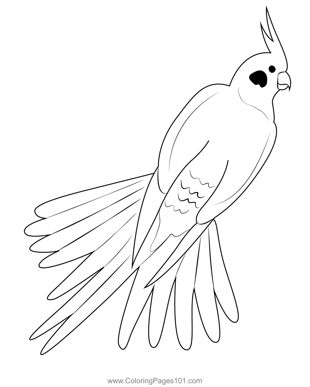 Beautiful Cockatiel Coloring Page for Kids - Free Parrots Printable ...