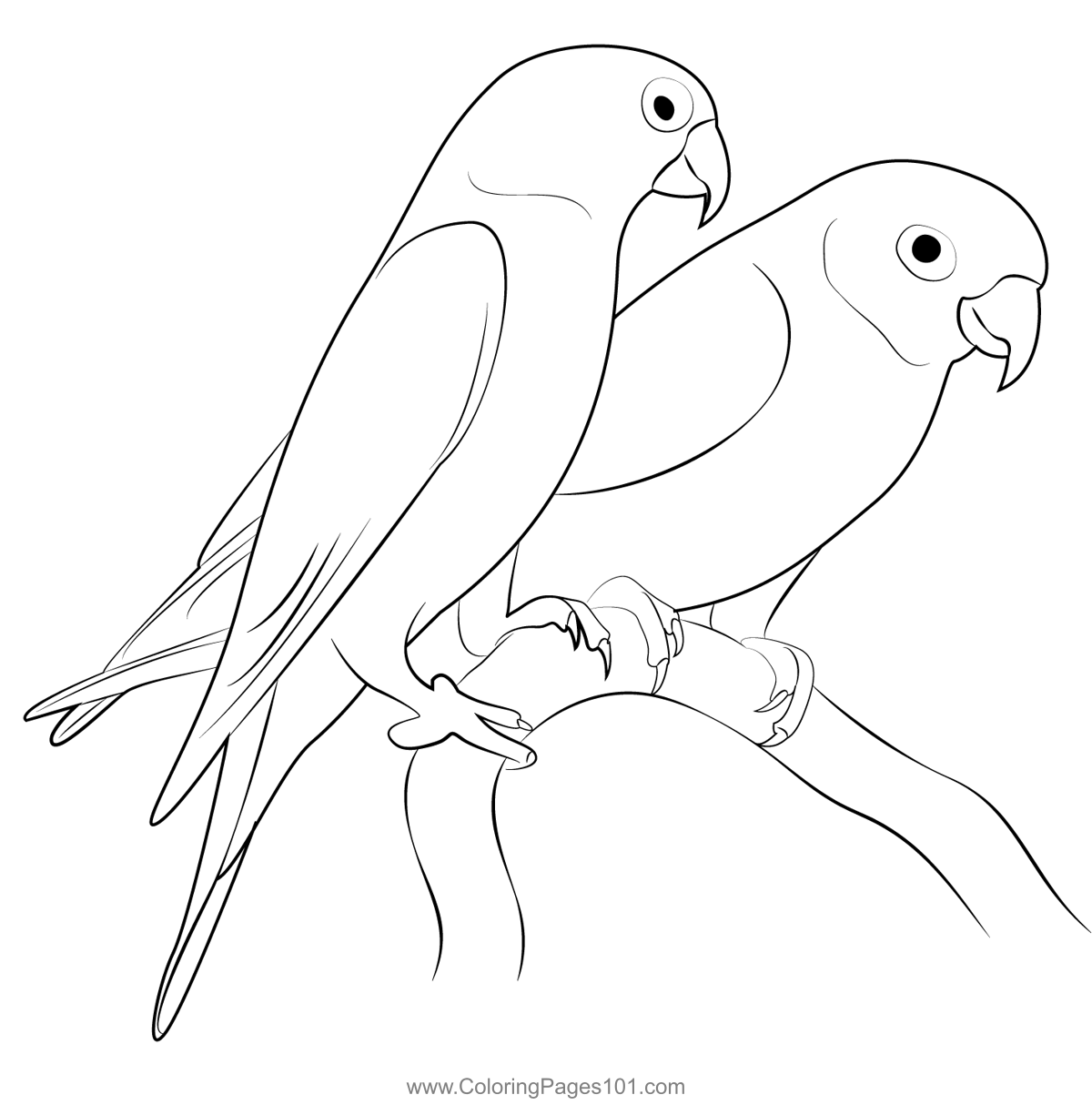 Love Birds 7 Coloring Page for Kids - Free Parrots Printable Coloring ...