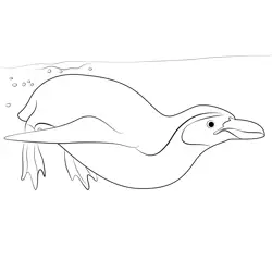 Penguin Swimming Underwater Coloring Page for Kids - Free Penguins ...