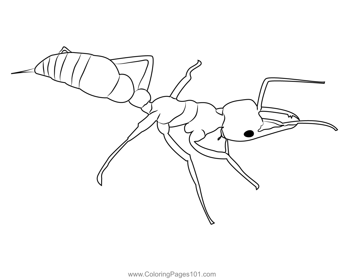 ant coloring pages for preschoolers
