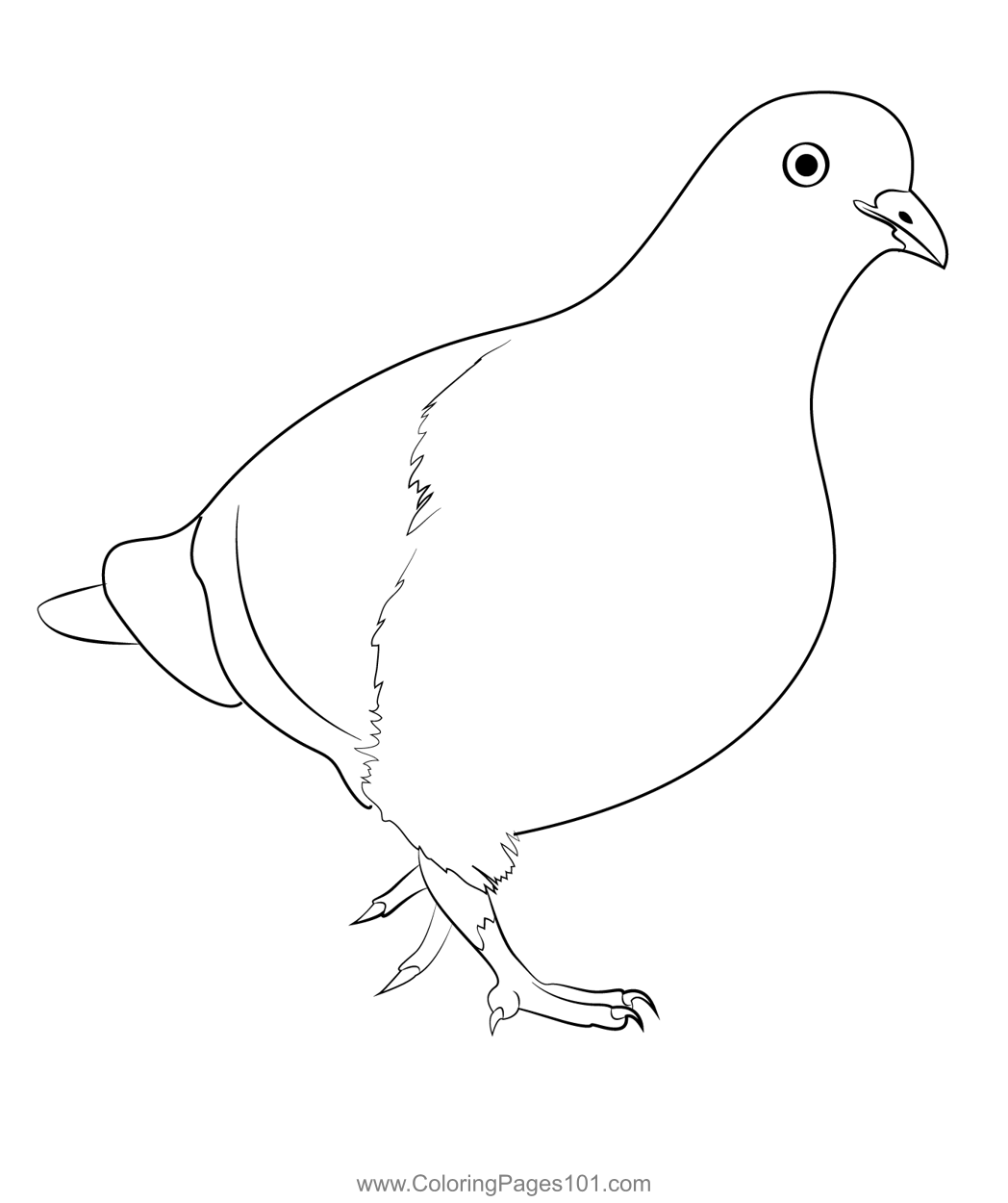 Grey City Dove Coloring Page for Kids - Free Pigeons and Doves ...