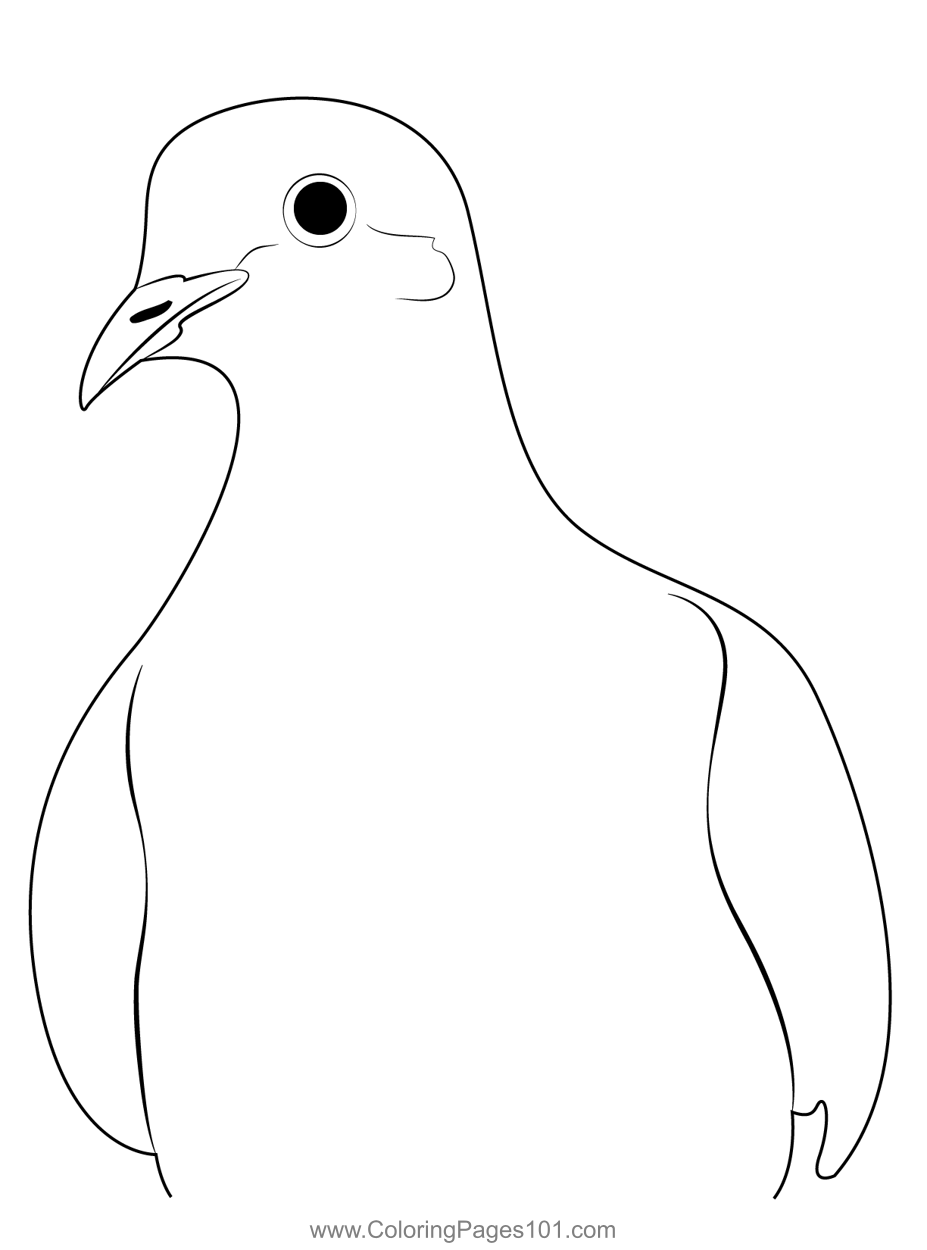 Mourning Dove Coloring Page for Kids - Free Pigeons and Doves Printable ...