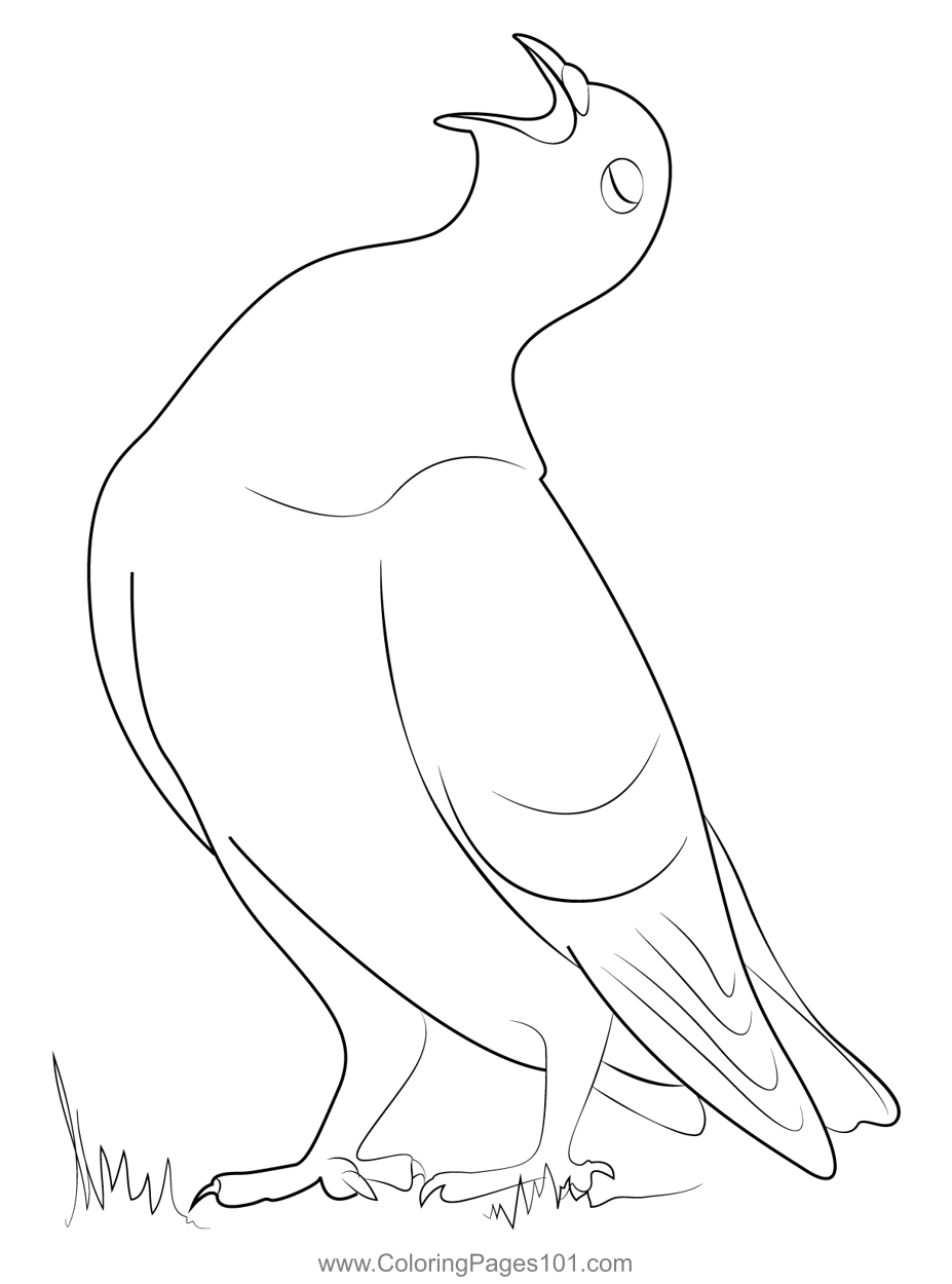 Pigeon Call Coloring Page for Kids - Free Pigeons and Doves Printable ...
