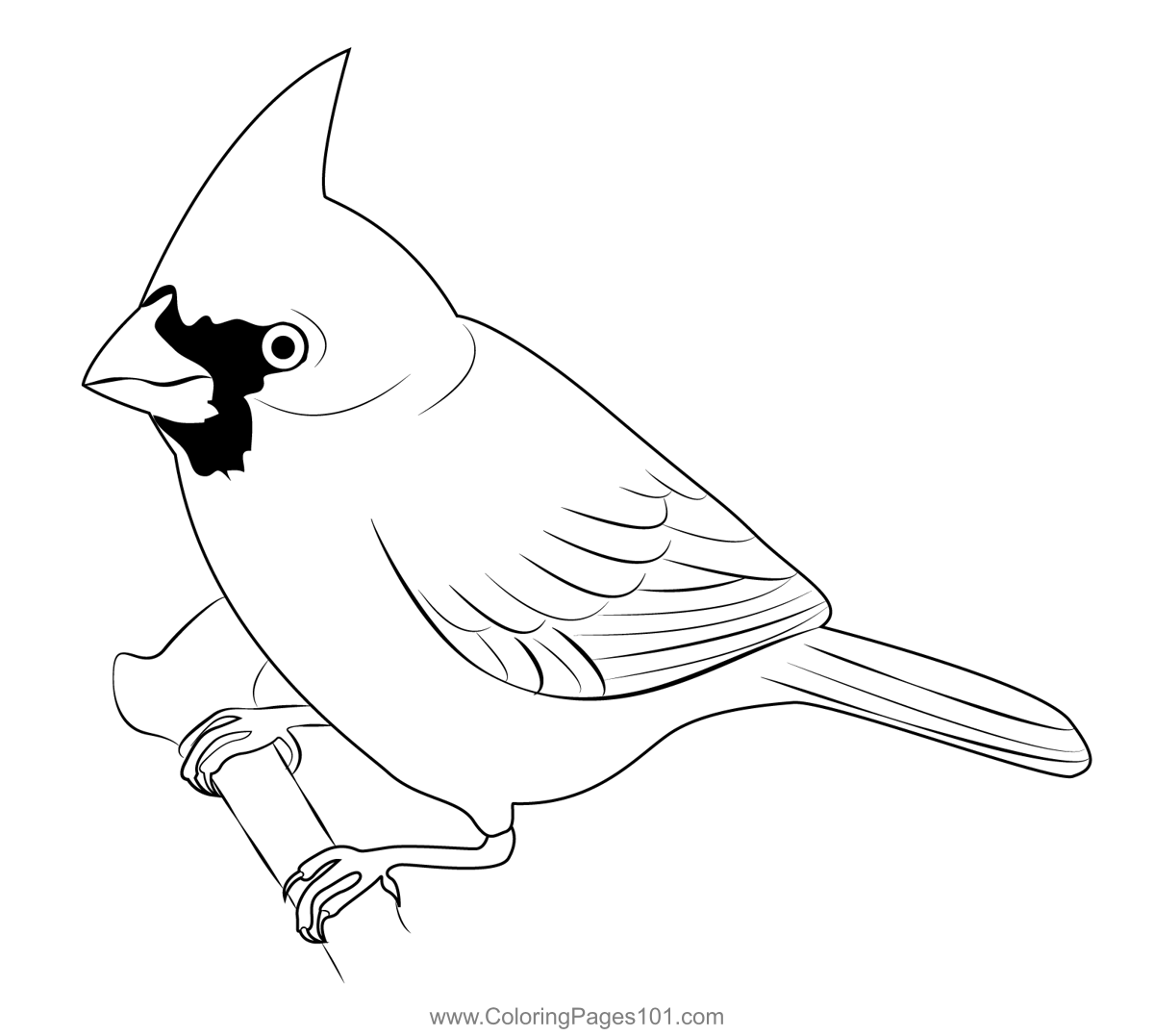 Cardinal Birds 2 Coloring Page for Kids - Free Sparrows Printable ...