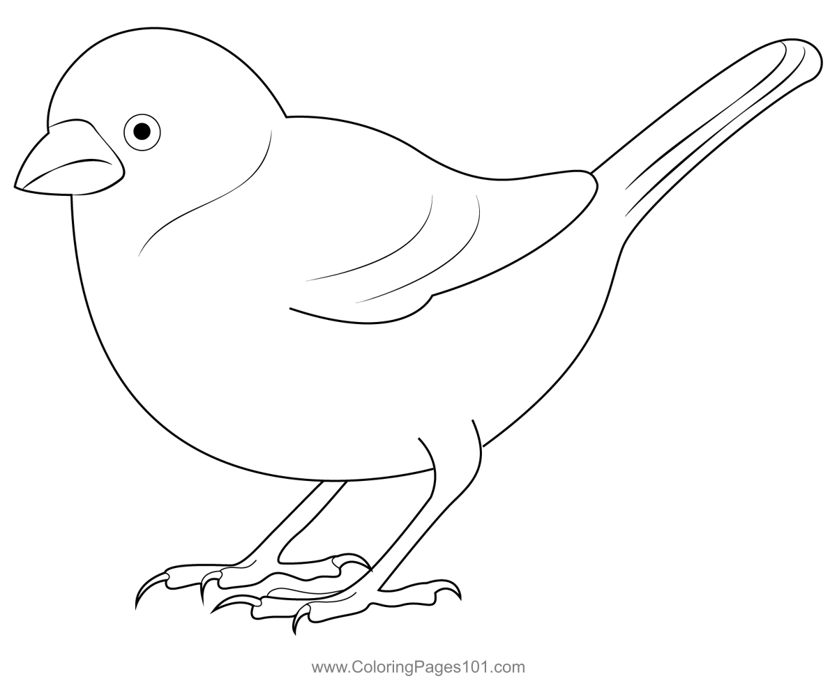 Female Sparrow Coloring Page for Kids - Free Sparrows Printable ...
