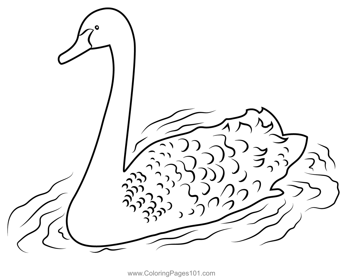 Black Swan Coloring Page for Kids - Free Swans and Geese Printable ...