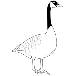 Giant Canada Goose Coloring Pages for Kids - Download Giant Canada ...