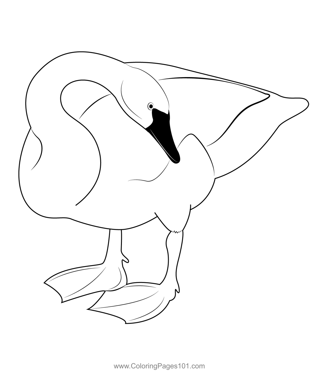 Swan 1 Coloring Page for Kids - Free Swans and Geese Printable Coloring ...