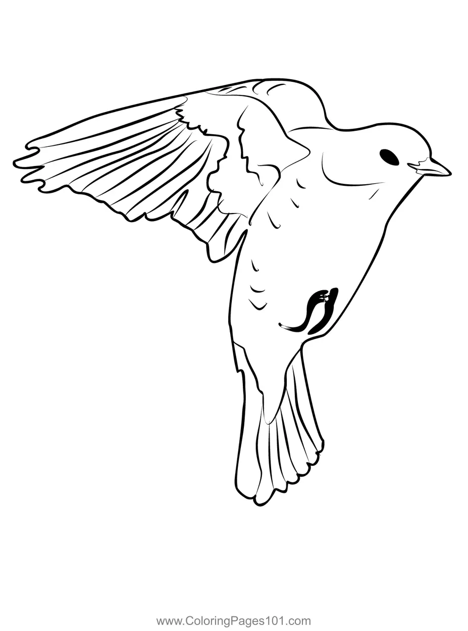 Fieldfare 4 Coloring Page for Kids - Free Thrushes Printable Coloring ...