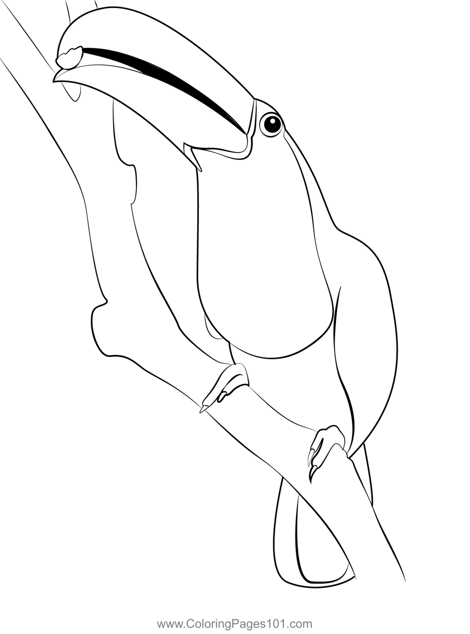 rainforest toucan coloring page