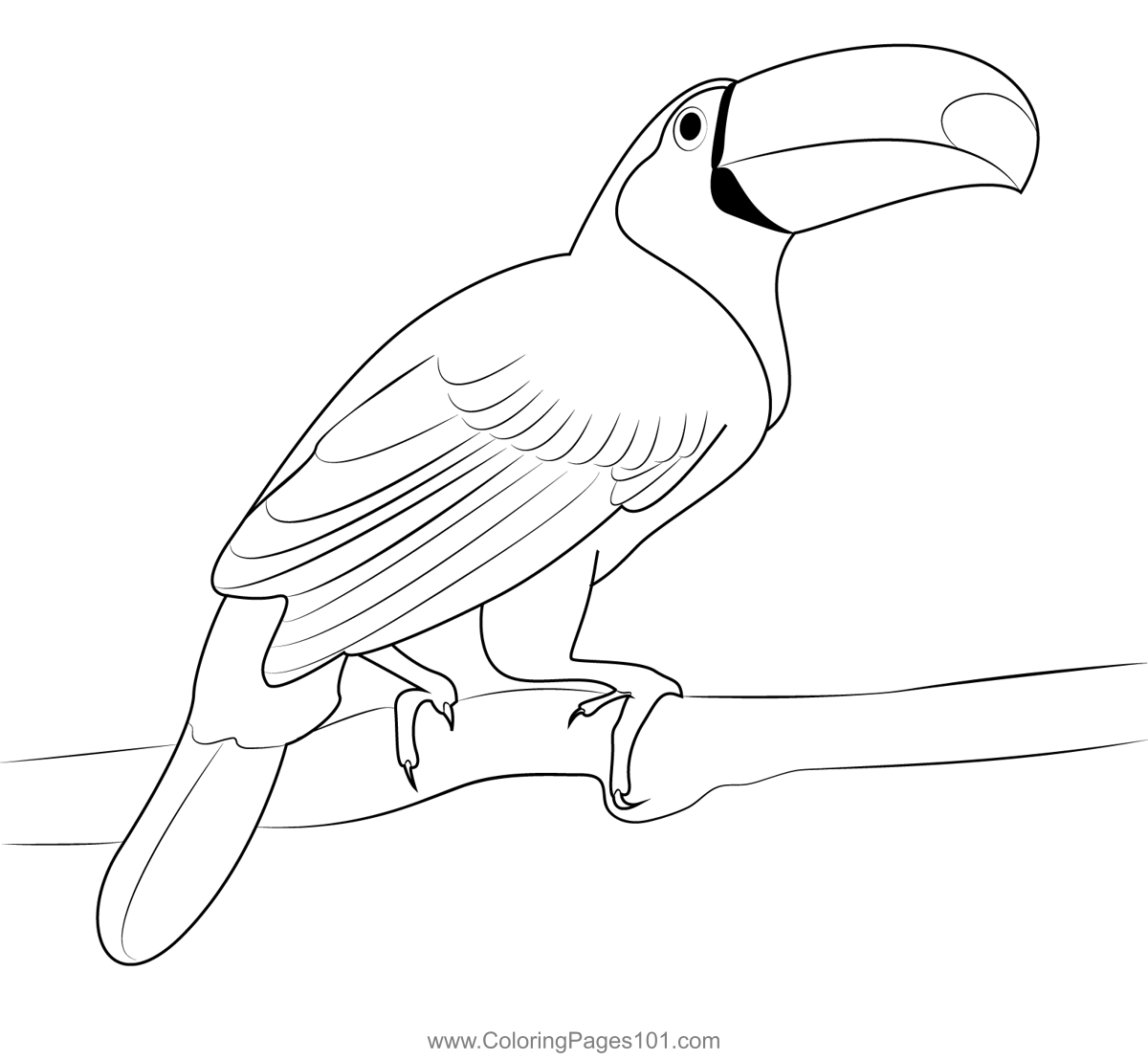 Female Toucan Bird Coloring Page for Kids - Free Woodpeckers Printable ...