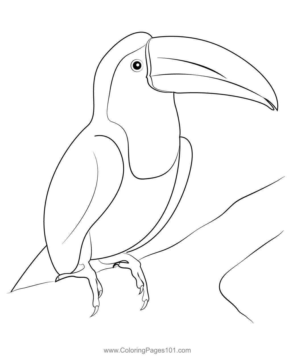 Sitting Toucan Bird Coloring Page For Kids   Free Woodpeckers Printable