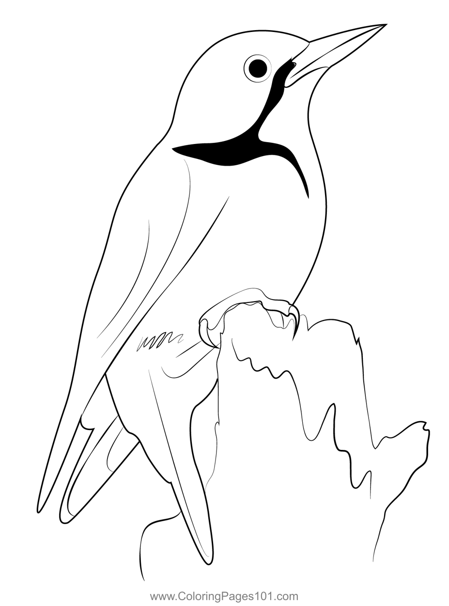 Woodpecker 1 Coloring Page for Kids - Free Woodpeckers Printable ...