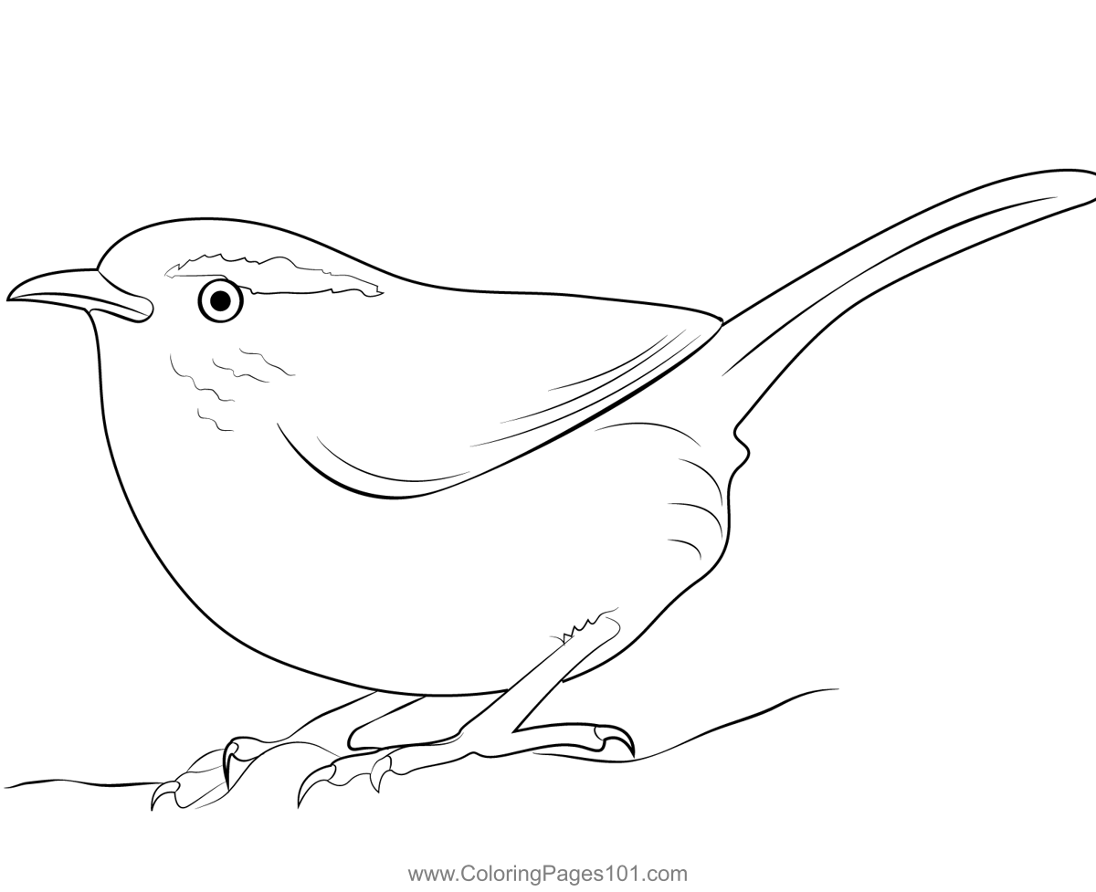 Carolina Wren 3 Coloring Page for Kids - Free Wrens Printable Coloring ...