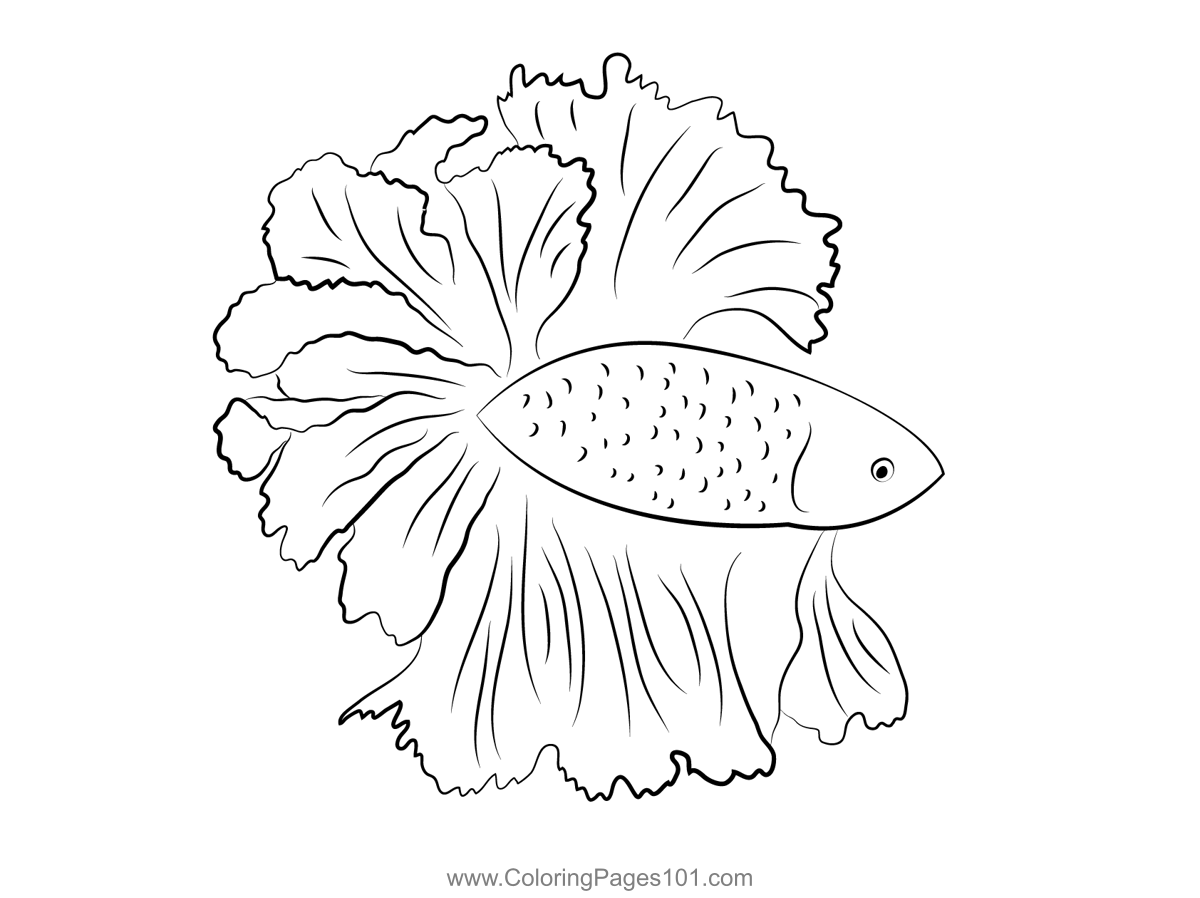 Blue And Orange Betta Fish Coloring Page for Kids - Free Betta fishes ...