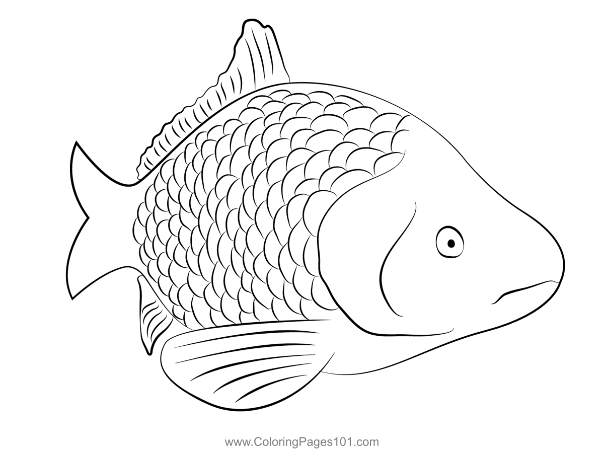 Carp Face Coloring Page for Kids - Free Carps Printable Coloring Pages ...