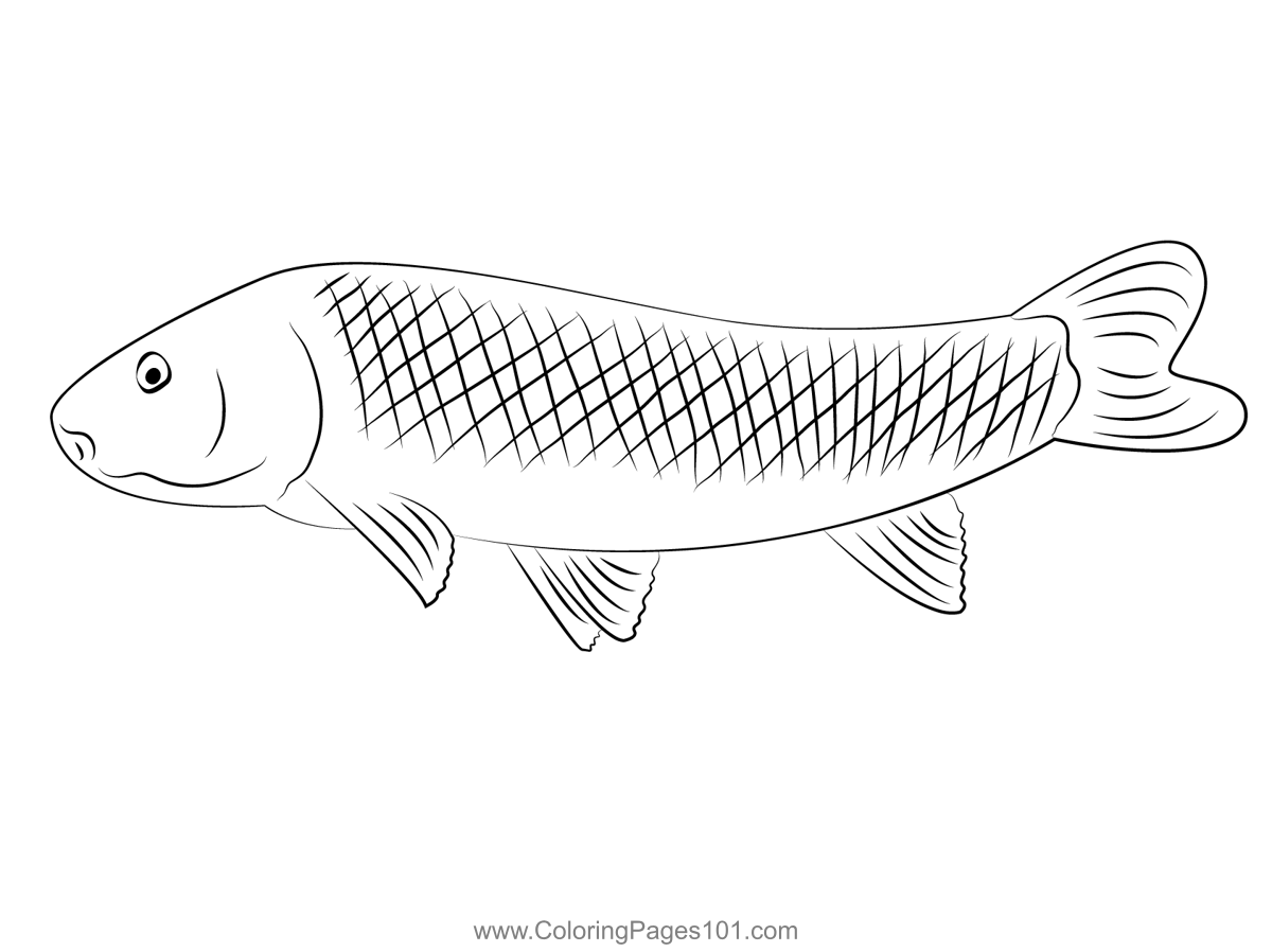 James Carp Coloring Page for Kids - Free Carps Printable Coloring Pages ...