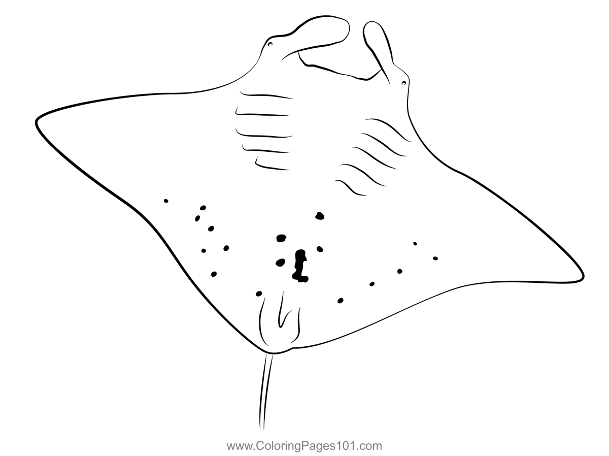 Creature Manta Ray Coloring Page for Kids - Free Rays Printable ...