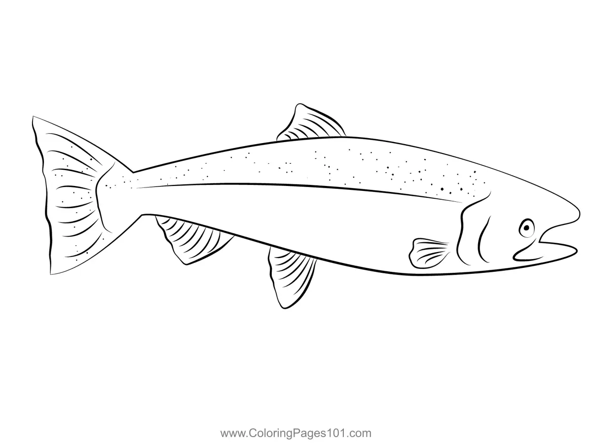 Alaskan King Salmon Coloring Page for Kids - Free Salmons Printable ...