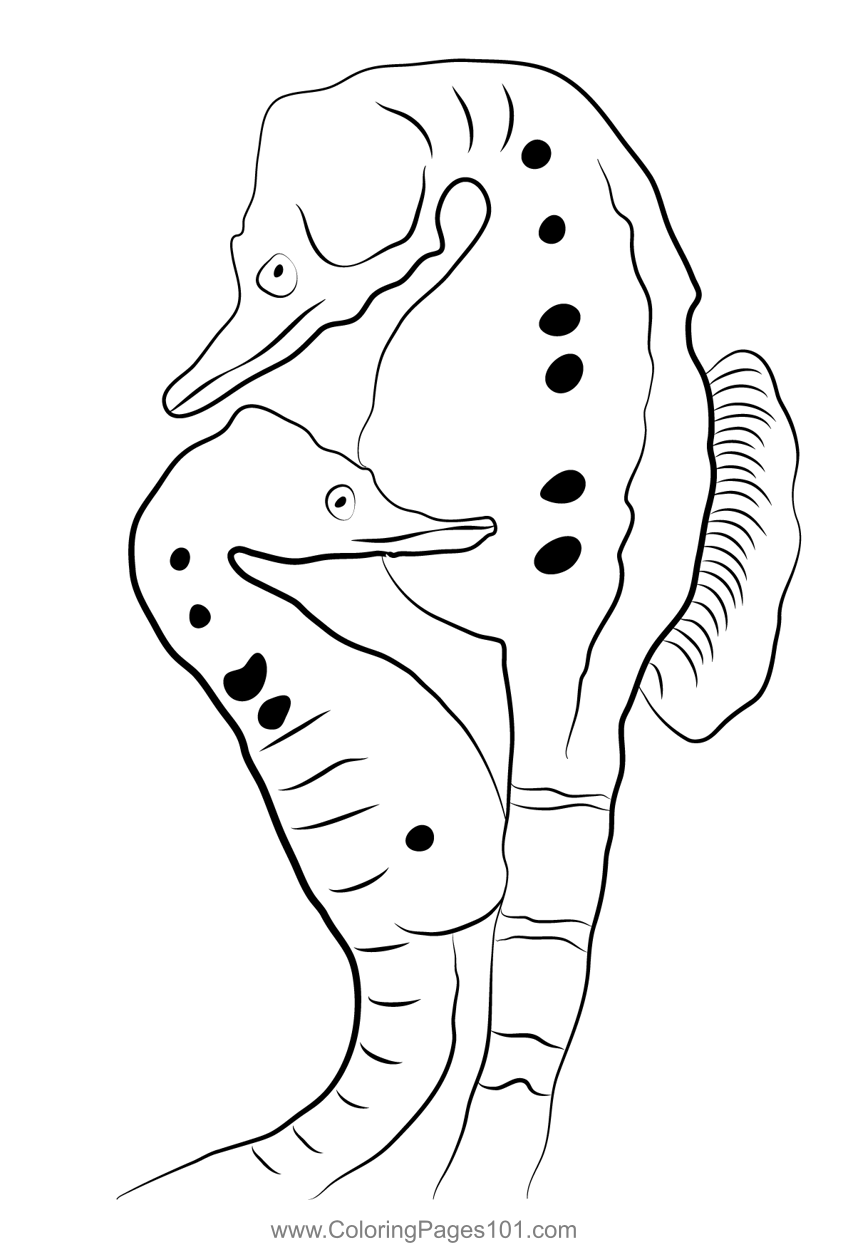 Sea Horse 1 Coloring Page for Kids - Free Seahorses Printable Coloring