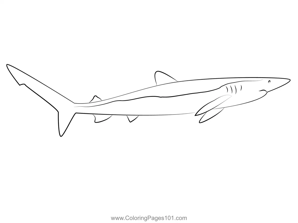Beautiful Blue Shark Coloring Page for Kids - Free Sharks Printable ...