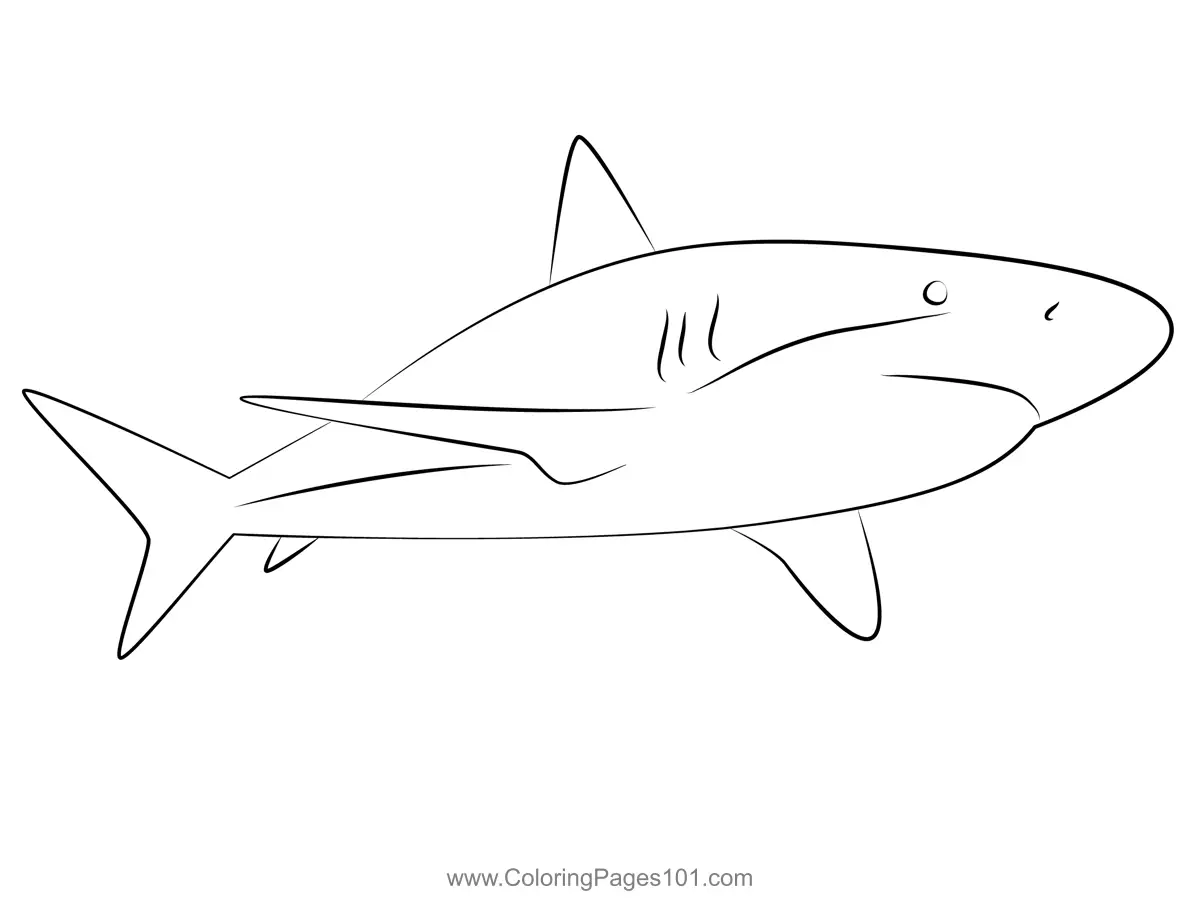 Caribbean Reef Shark Coloring Page for Kids - Free Sharks Printable ...